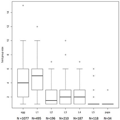 Caterpillars Cooperate to Overcome Plant Glandular Trichome Defenses
